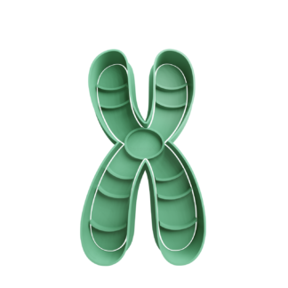 Chromosomes Cookie Cutter STL Chromosomes Cookie Cutter STL